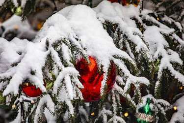 Similar image 22470600