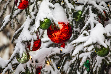 Similar image 22470601