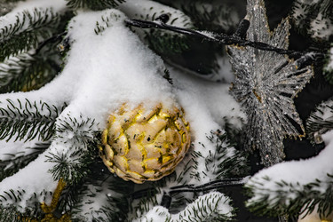 Similar image 22470606