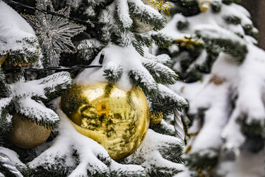 Similar image 22470610