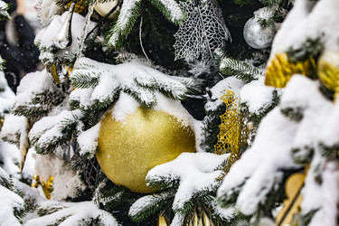 Similar image 22470611