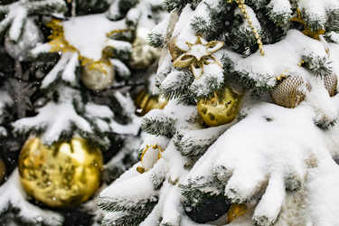 Similar image 22470634