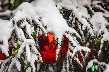 Similar image 22470635