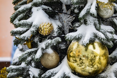 Similar image 22470636