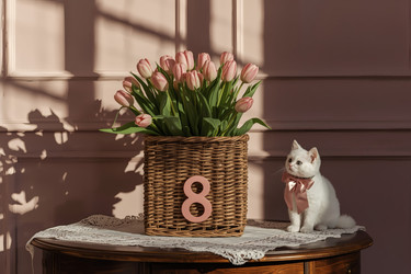 Similar image 22470224