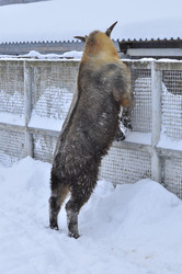 Similar image 22469487