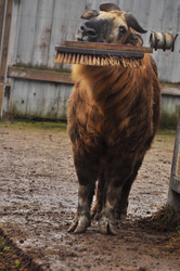 Similar image 22469488