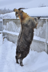 Similar image 22469489