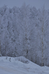 Similar image 22469501