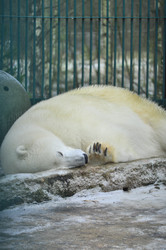 Similar image 22469502