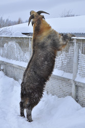 Similar image 22469503