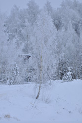 Similar image 22469504