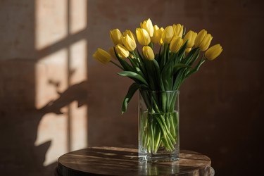 Similar image 22470215