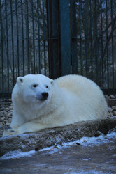 Similar image 22469517