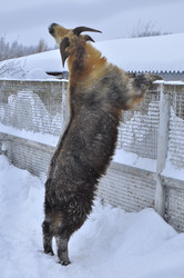 Similar image 22469518