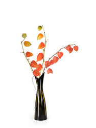 Similar image 22470339