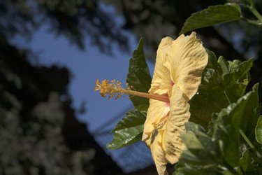 Similar image 22470340