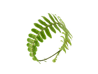 Similar image 22470358