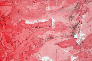 Similar image 22470298