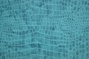 Similar image 22473720