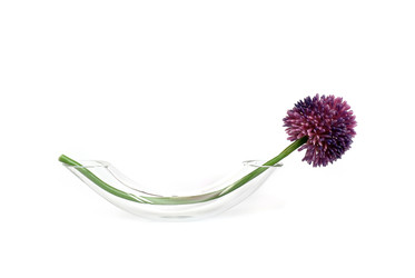 Similar image 22473639