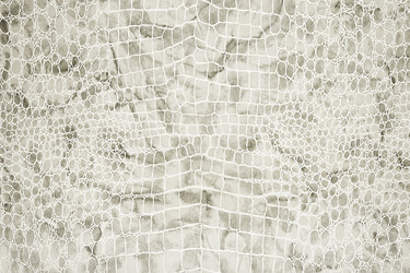 Similar image 22473649