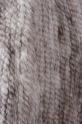 Similar image 22473775