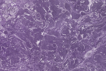 Similar image 22474745