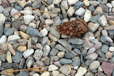 Similar image 22473568