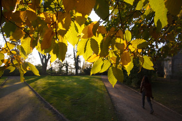 Similar image 22473033