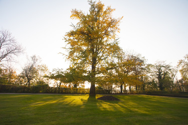 Similar image 22473035