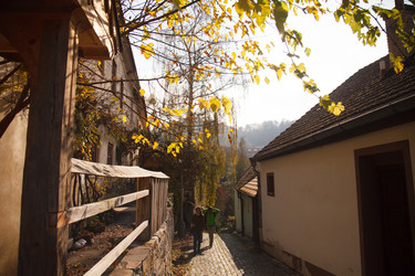 Similar image 22473041