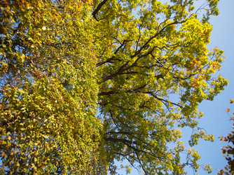 Similar image 22473045