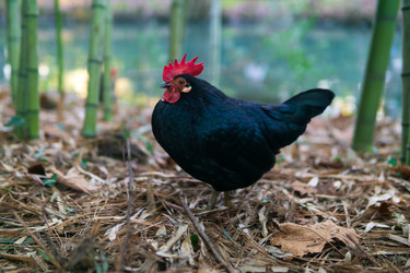 Similar image 22473002