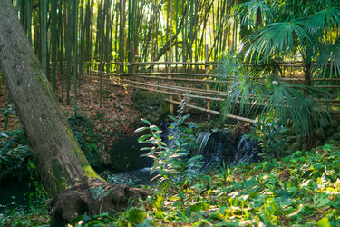 Similar image 22473003