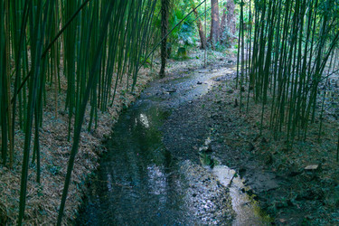 Similar image 22473004