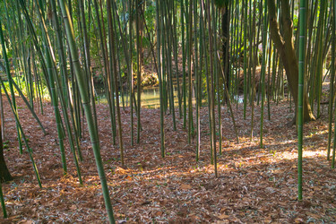 Similar image 22473006