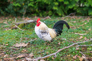 Similar image 22473007