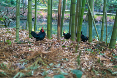 Similar image 22473008