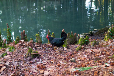 Similar image 22473009