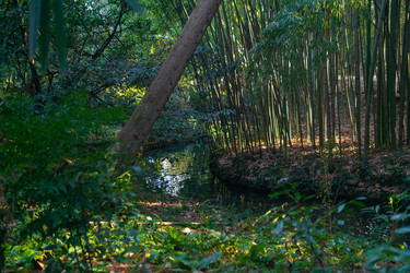 Similar image 22473015