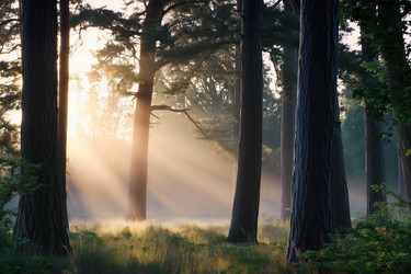 Similar image 22473016