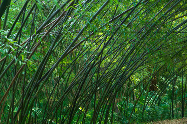 Similar image 22473018