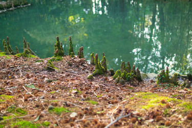 Similar image 22473019