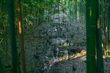 Similar image 22473021