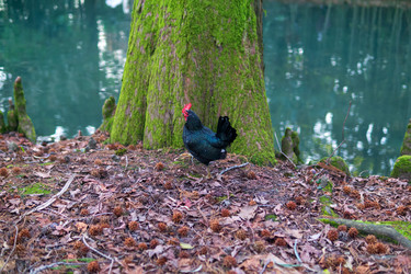 Similar image 22473022