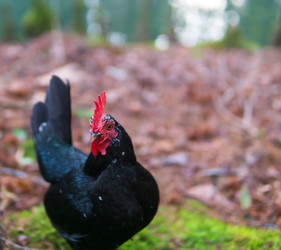 Similar image 22473024