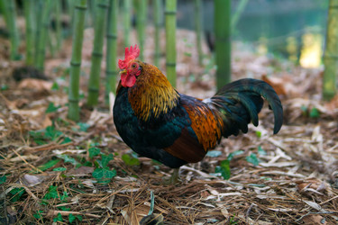 Similar image 22473026