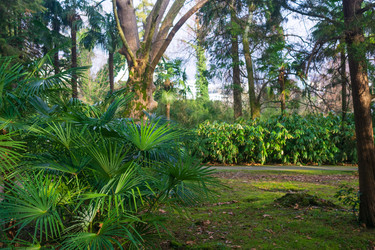 Similar image 22473027