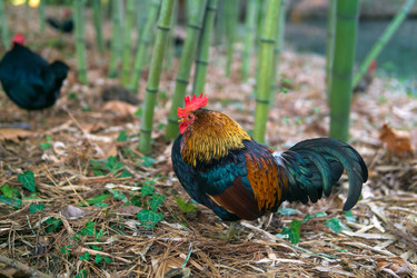 Similar image 22473028